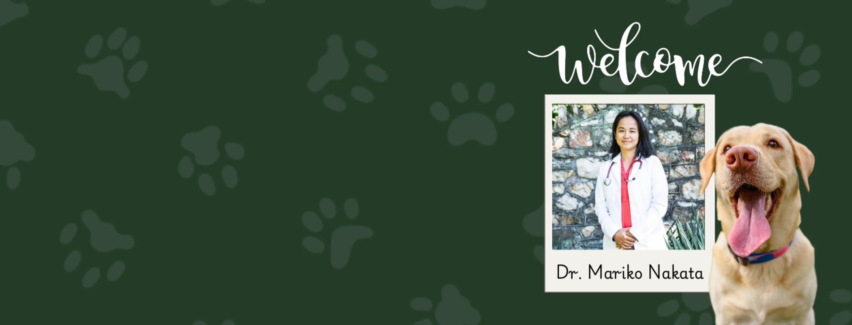 Welcome Dr. Mariko Nakata! Welcome Dr. Mariko Nakata!