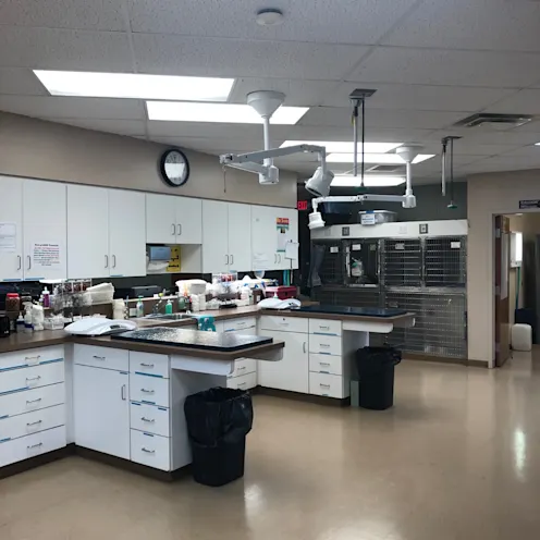 Office area with white cabinets at Niles Veterinary Clinic Office area with white cabinets at Niles Veterinary Clinic
