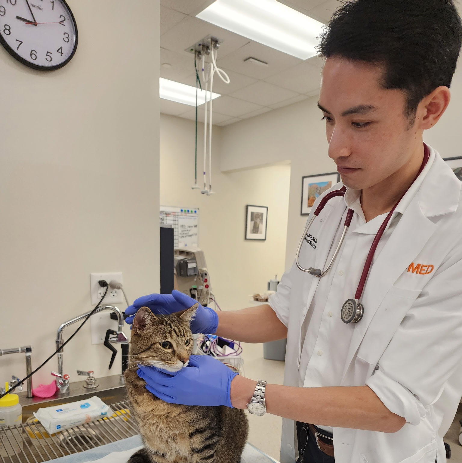 Matthew Wun, MS, DVM