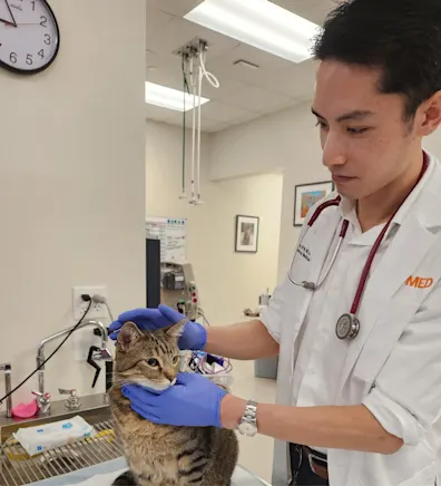 Matthew Wun, MS, DVM Matthew Wun, MS, DVM