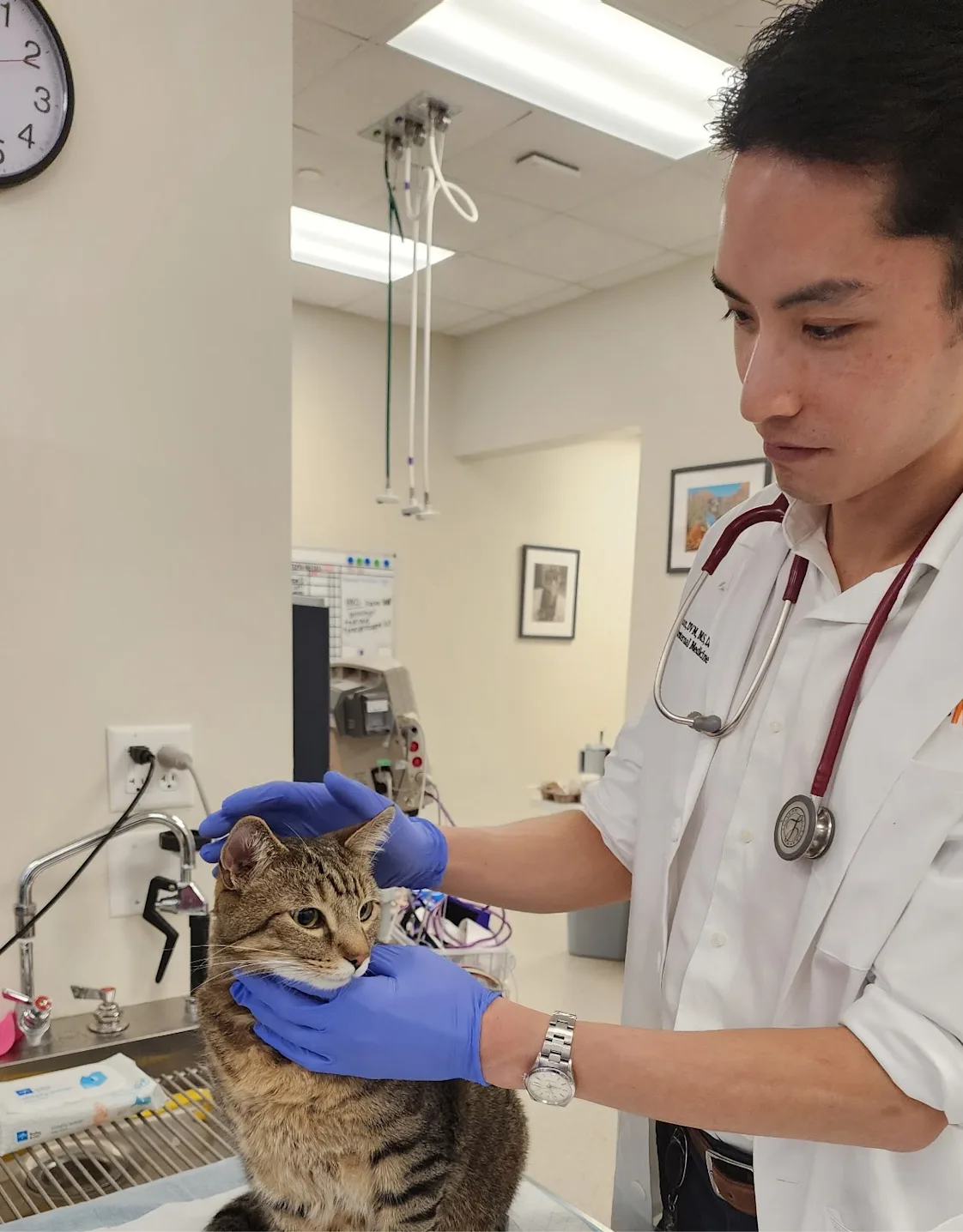 Matthew Wun, MS, DVM Matthew Wun, MS, DVM