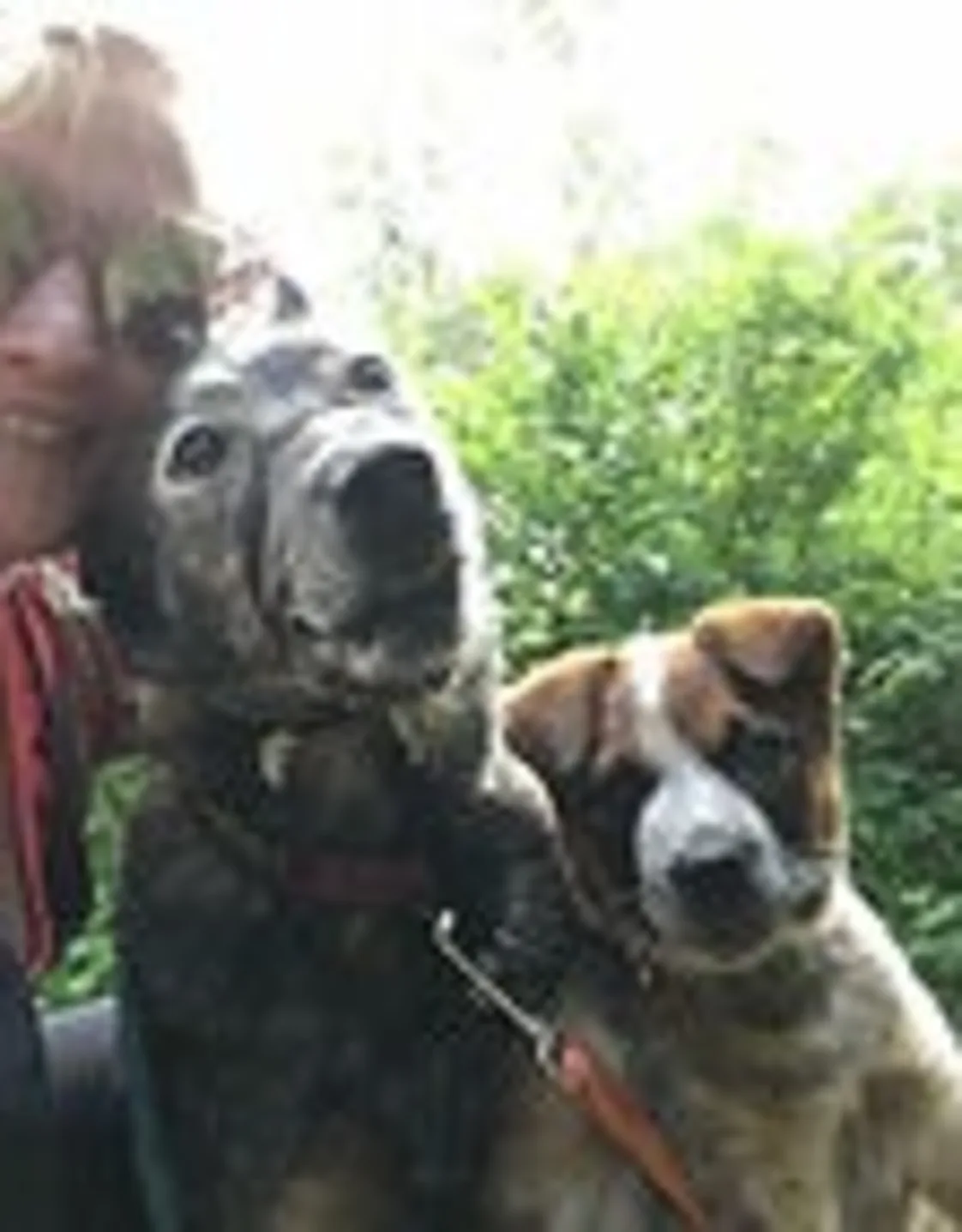 Katie-Marie, RVT Katie-Marie, RVT