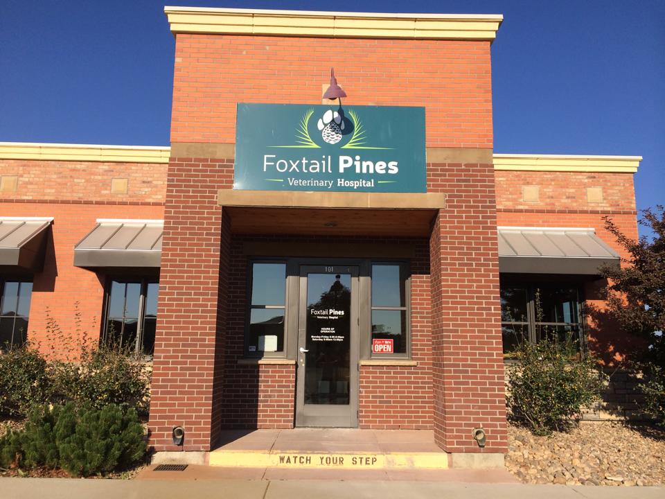Foxtail Pines Veterinary Hospital Front Building