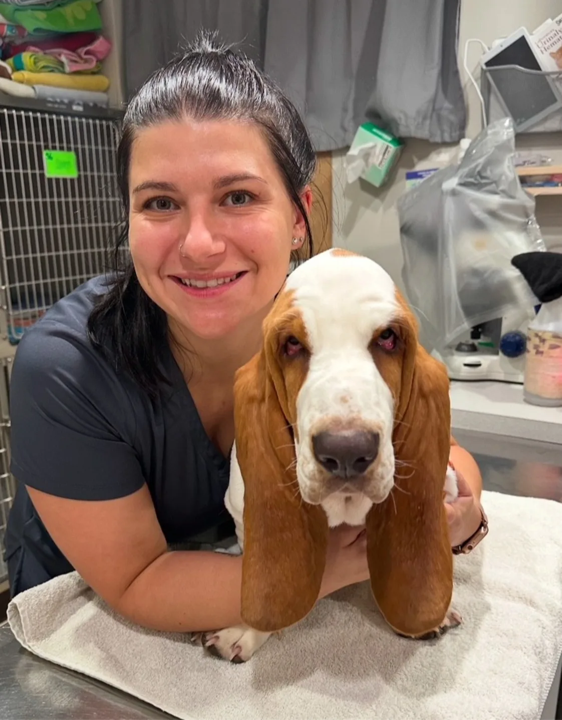 Stephanie Hajek Stephanie Hajek