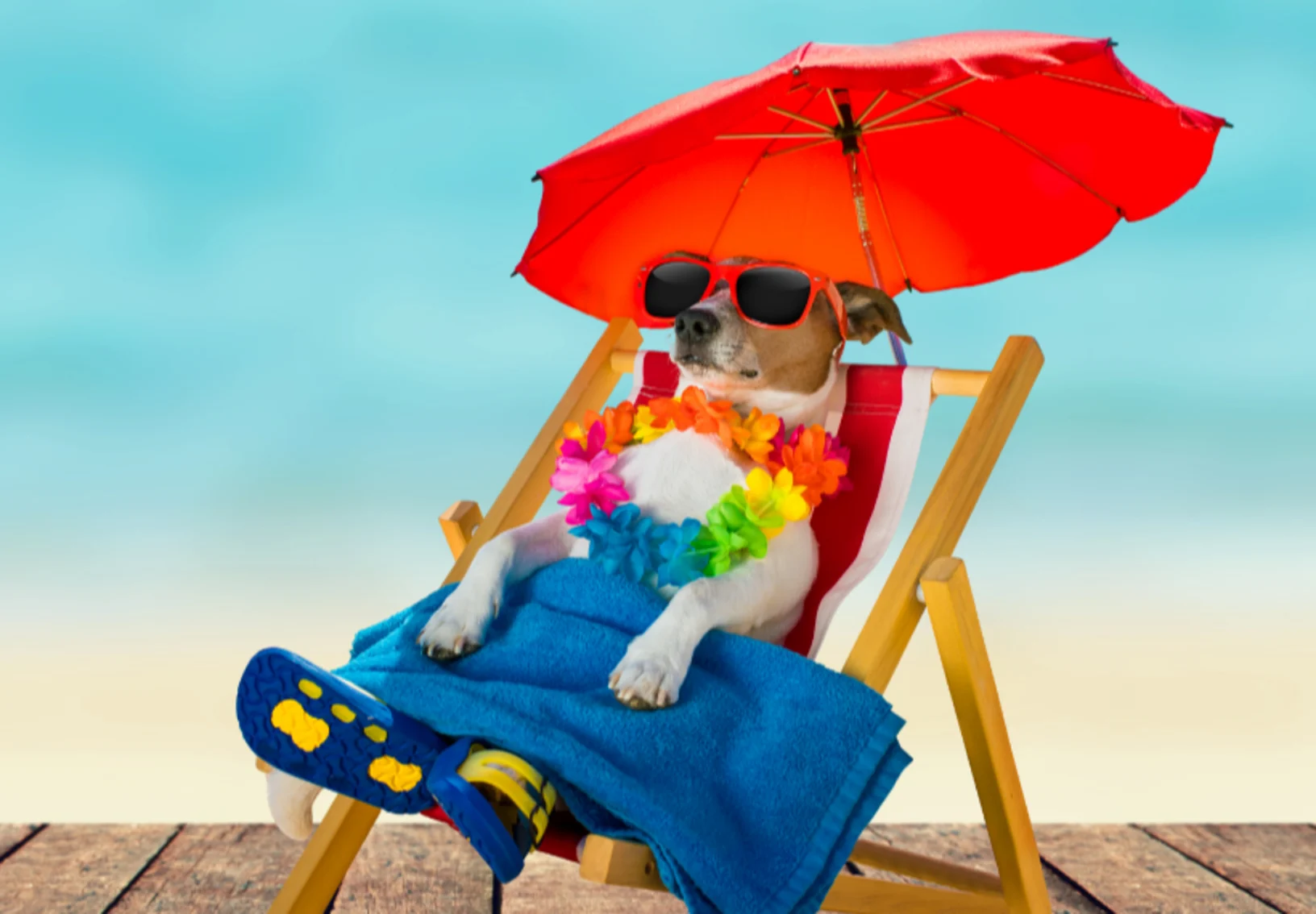 Because Pets Deserve Summer Perks, Too! Because Pets Deserve Summer Perks, Too!