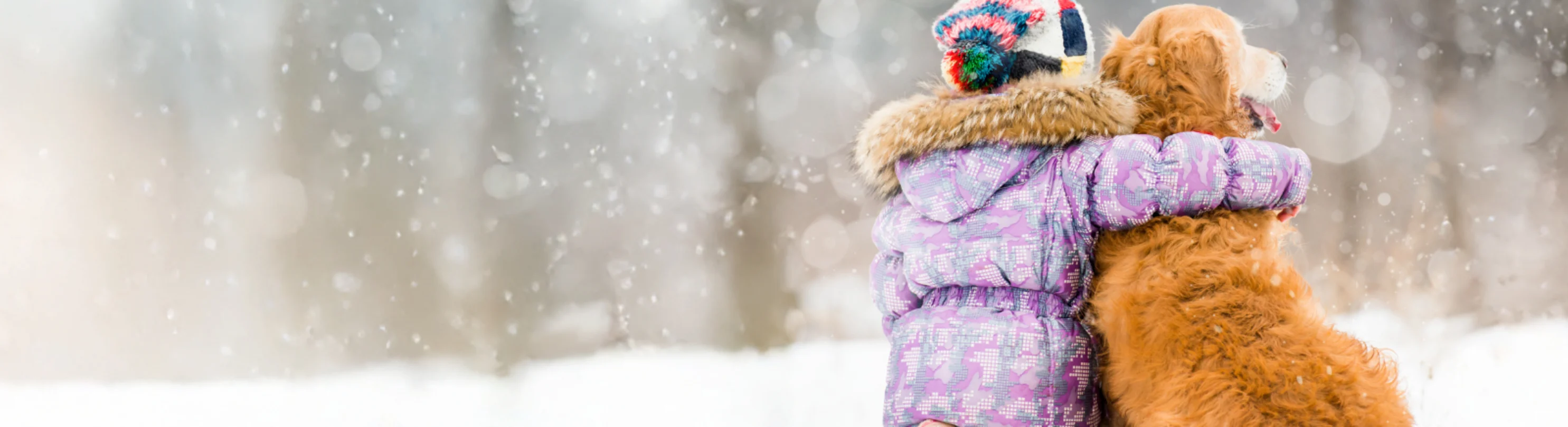 Girl Hugging Dog in the Snow Girl Hugging Dog in the Snow