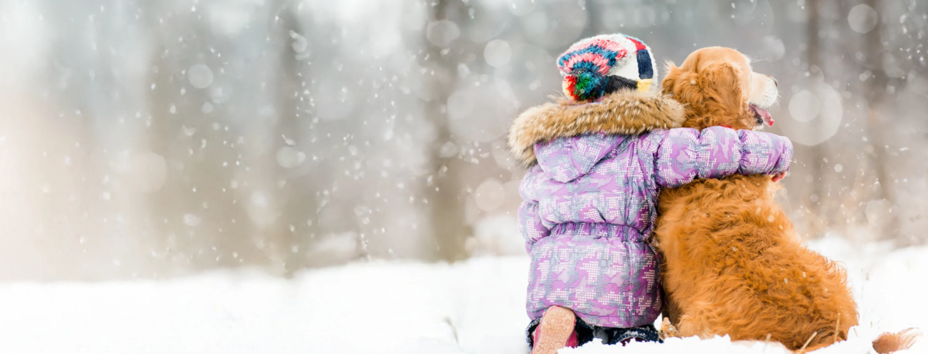 Girl Hugging Dog in the Snow Girl Hugging Dog in the Snow