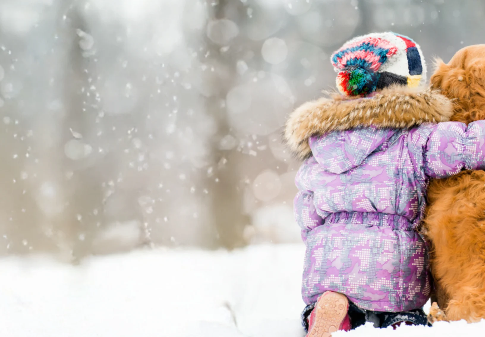 Girl Hugging Dog in the Snow Girl Hugging Dog in the Snow