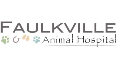 Faulkville Animal Hospital - Photo 3