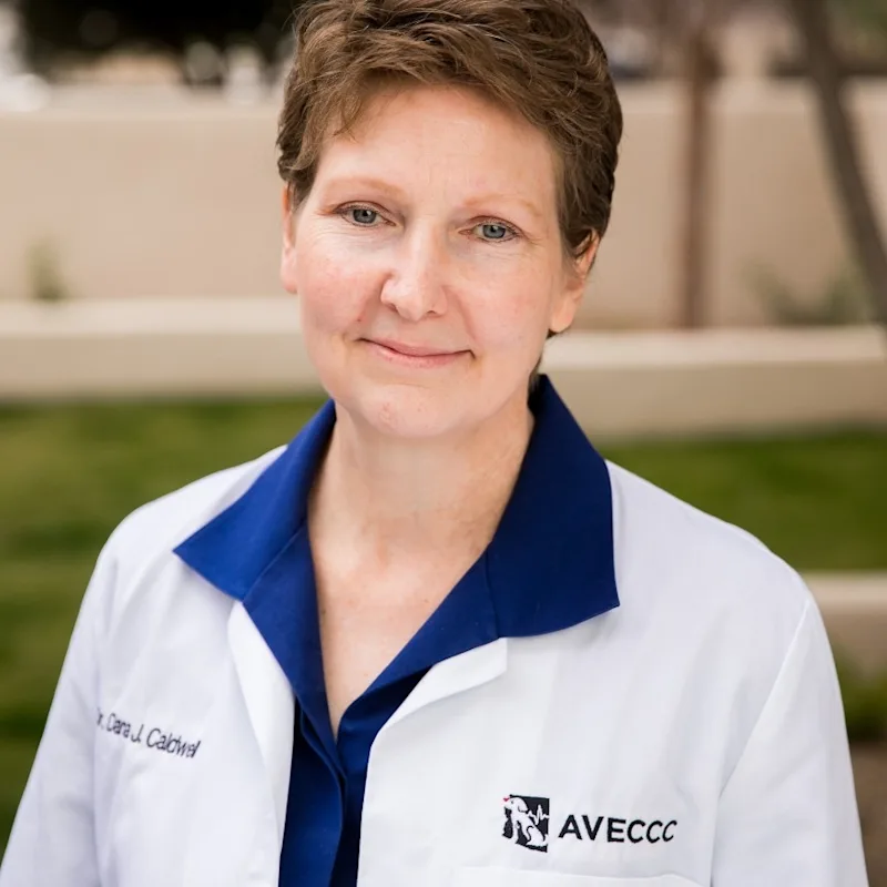 Dr. Dana Caldwell, DACVECC Dr. Dana Caldwell, DACVECC