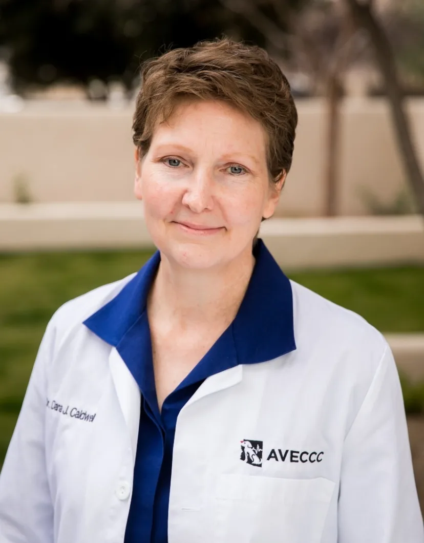 Dr. Dana Caldwell, DACVECC