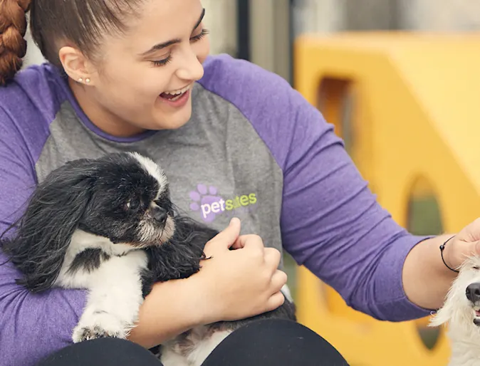 PetSuites staff play with dogs PetSuites staff play with dogs