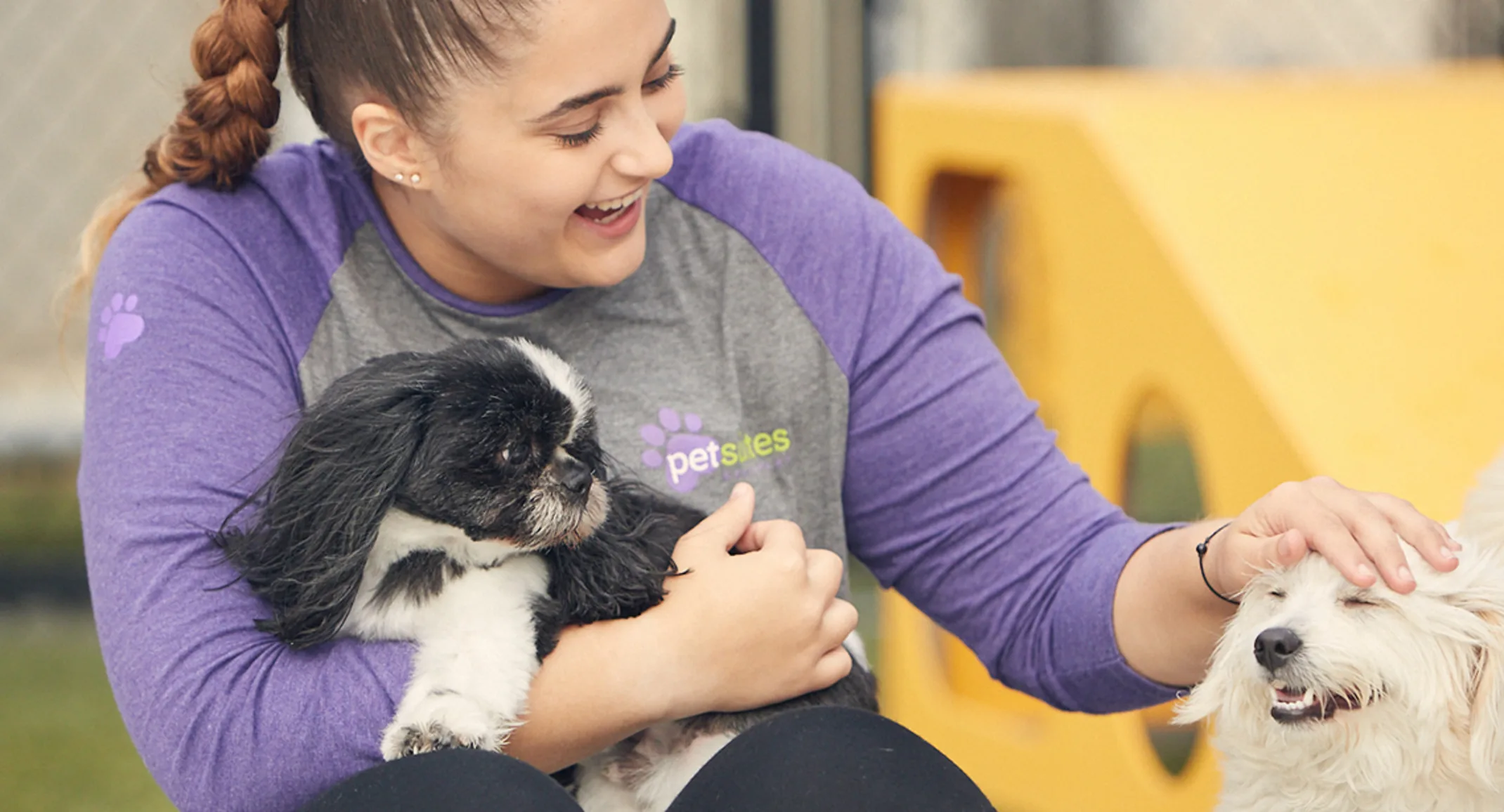 PetSuites staff play with dogs PetSuites staff play with dogs