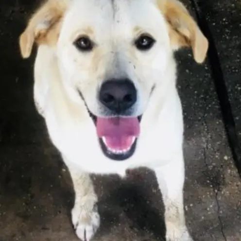 Jethro Kidder Jethro Kidder