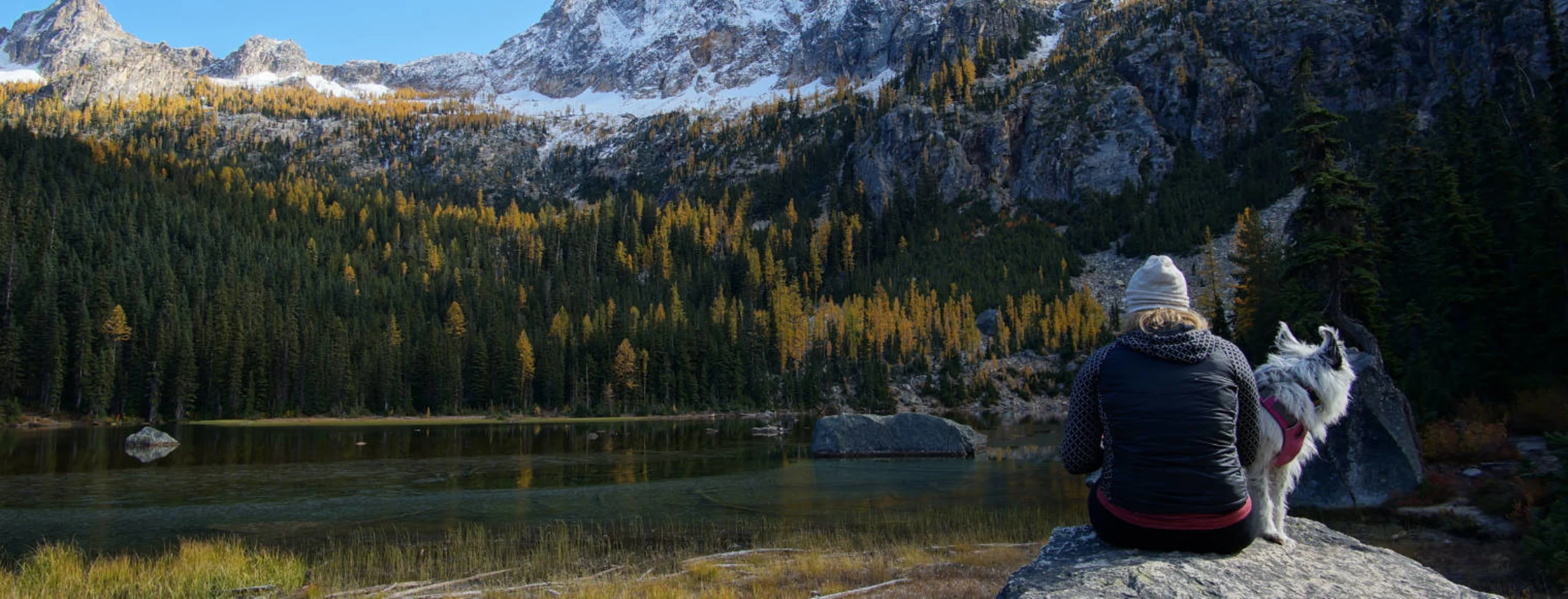 Person and dog with a background of snowy mountains and green trees