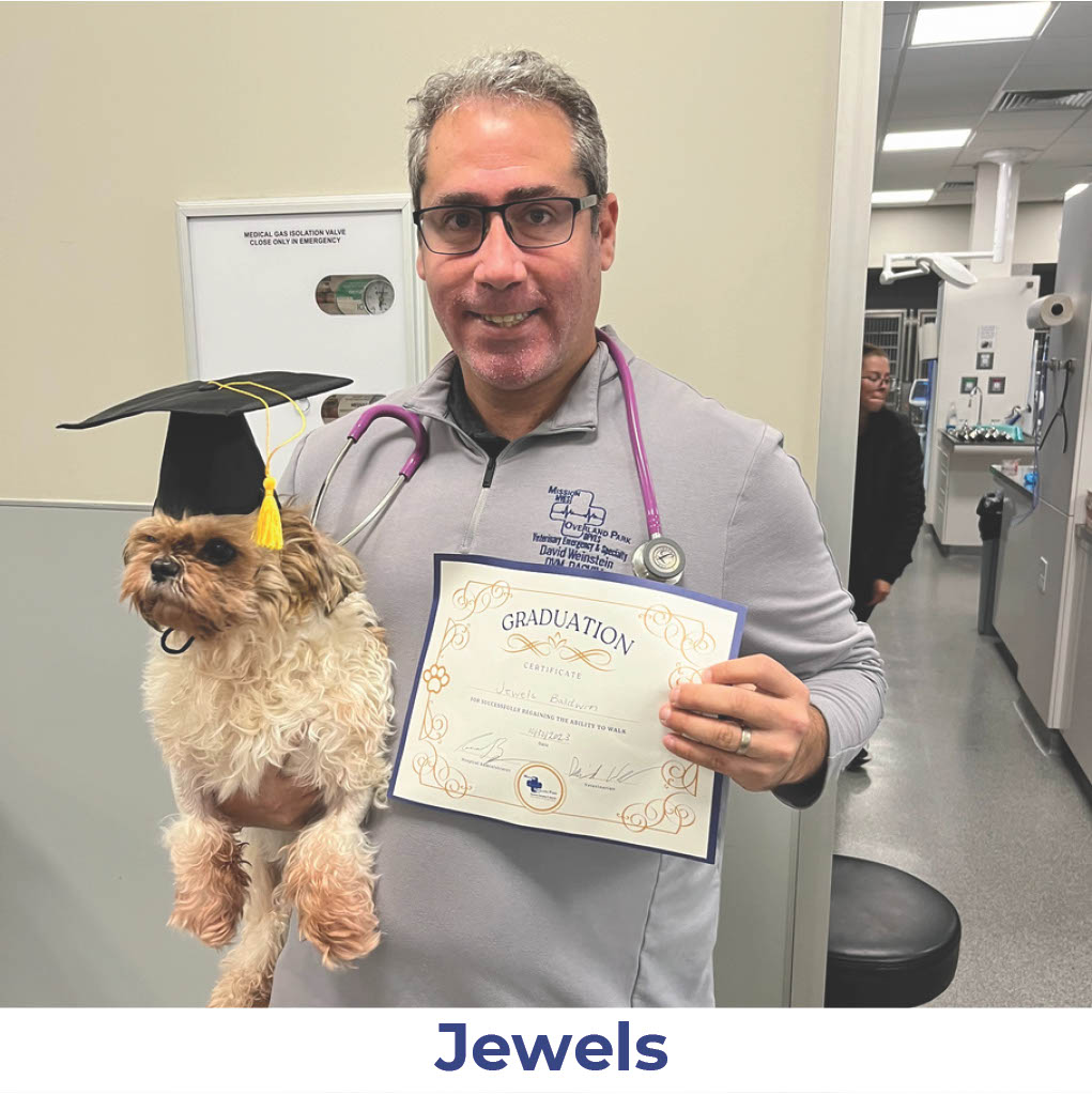 Jewels the dog with Neurology Graduate Hall of Fame certificate