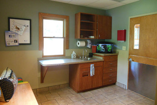 Exam Room at Animal Hospital of Signal Mountain