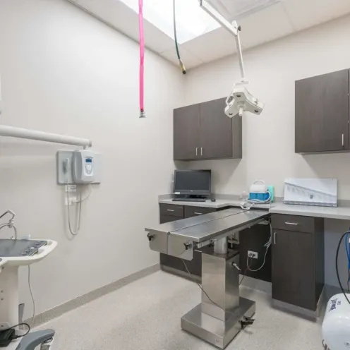 Old Town Animal Care Center Surgery Room