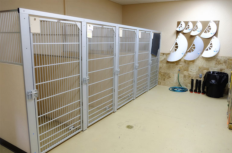 Large dog kennel room at Metzler Veterinary Hospital