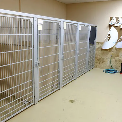 Large dog kennel room at Metzler Veterinary Hospital Large dog kennel room at Metzler Veterinary Hospital