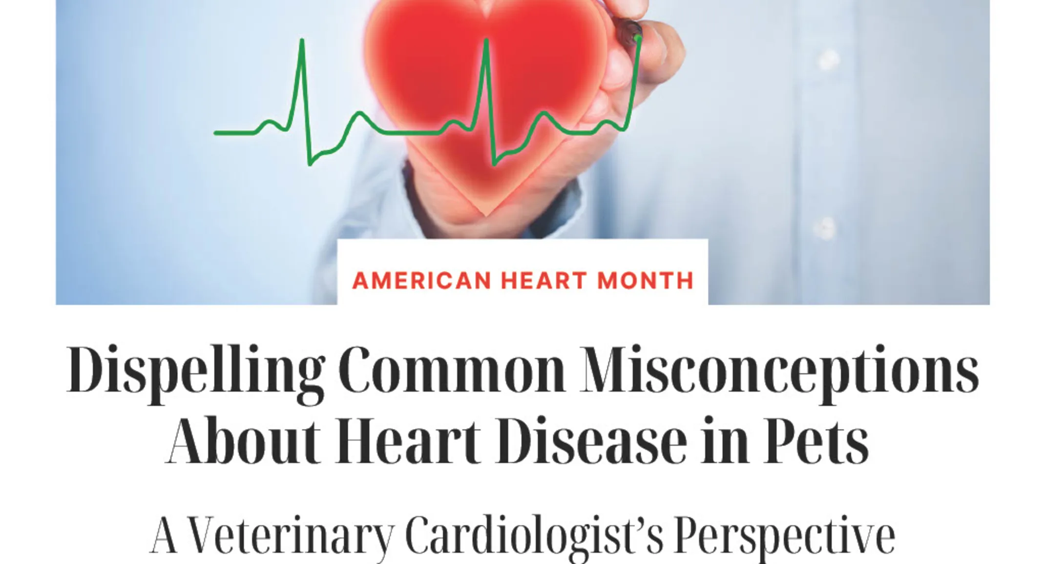 Promotional blog image of a hand writing a heartbeat over a heart. Text reads, "Dispelling Common Misconceptions About Heart Disease in Pets: A Veterinary Cardiologist’s Perspective" Promotional blog image of a hand writing a heartbeat over a heart. Text reads, "Dispelling Common Misconceptions About Heart Disease in Pets: A Veterinary Cardiologist’s Perspective"