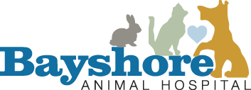bayshore animal clinic bradenton fl
