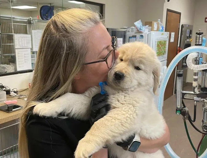 Staff member holding a dog. Staff member holding a dog.