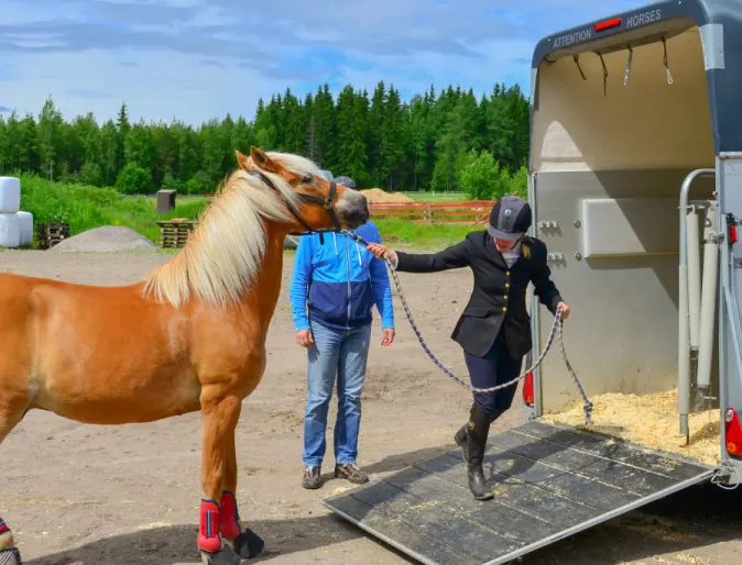 Traveling Trailer for Horse Traveling Trailer for Horse
