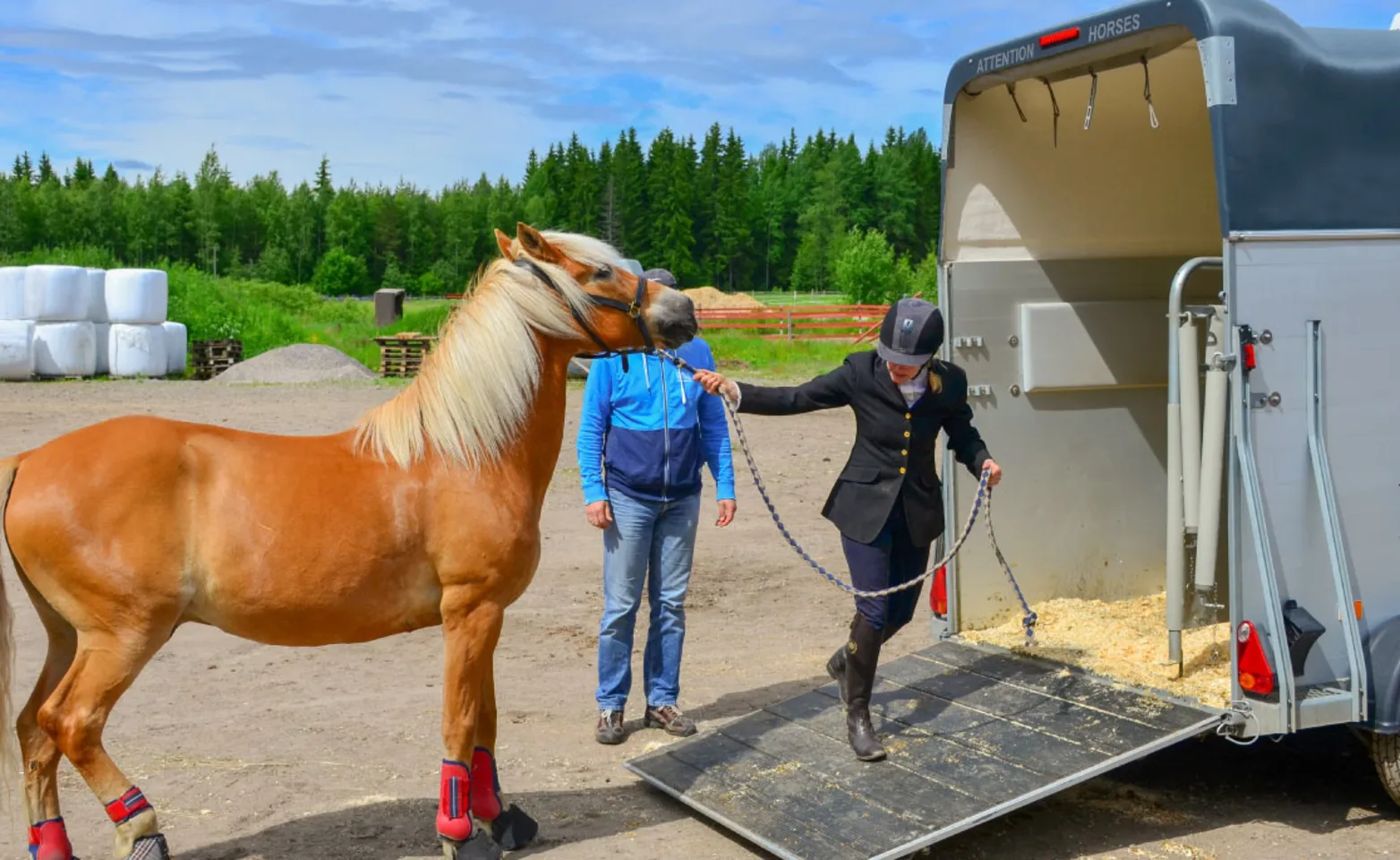 Traveling Trailer for Horse Traveling Trailer for Horse