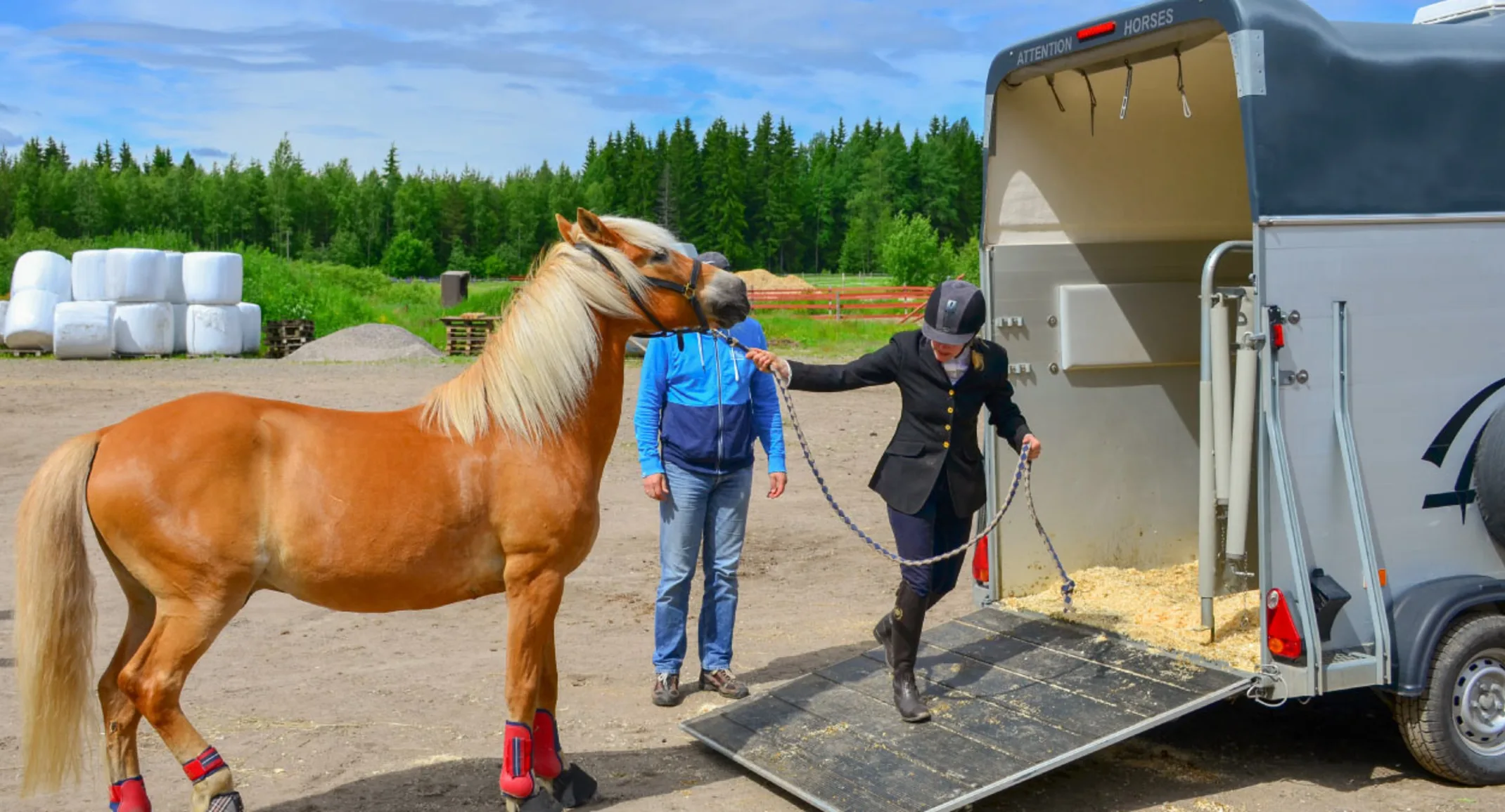 Traveling Trailer for Horse Traveling Trailer for Horse