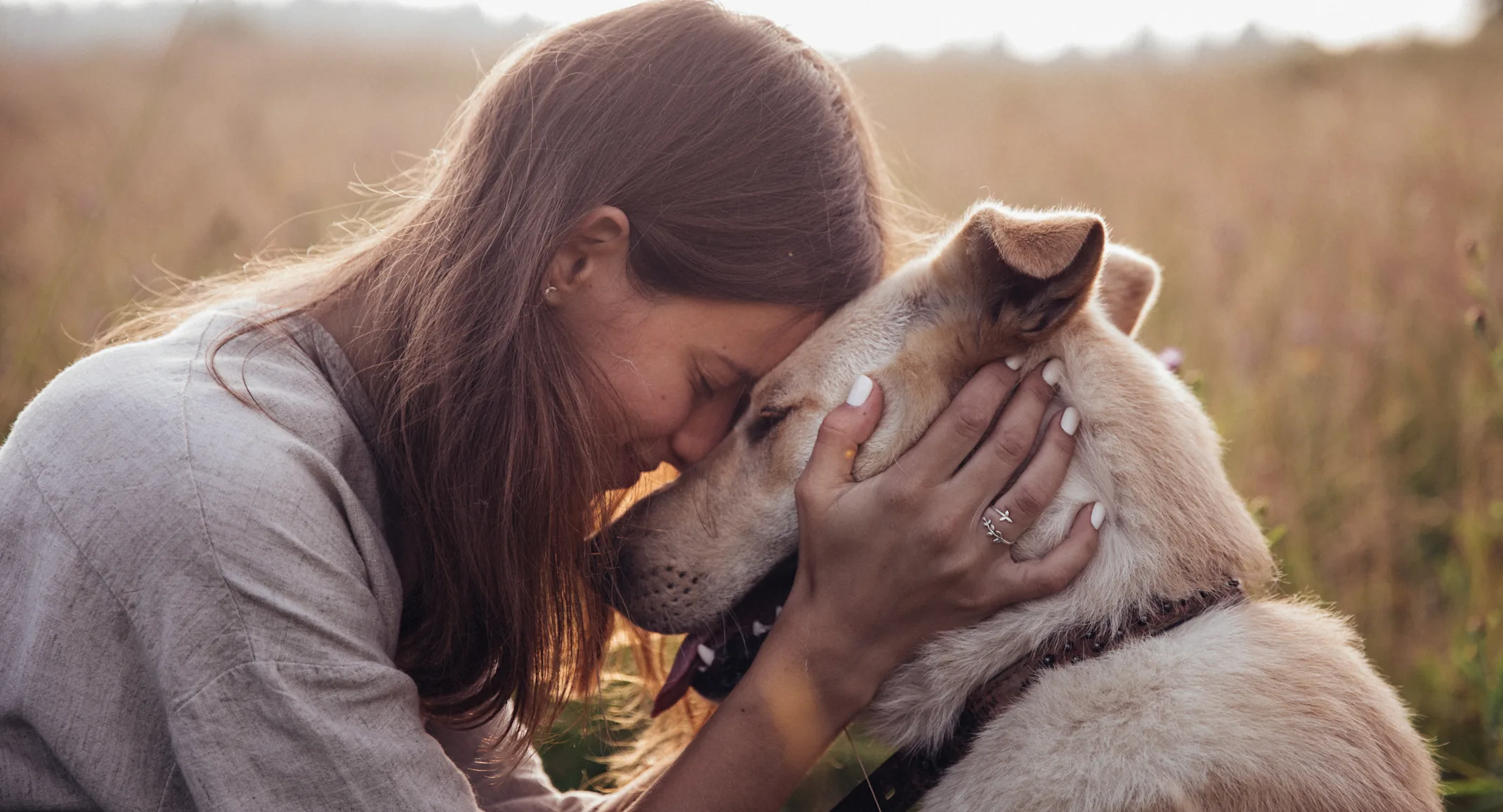 Dog and person with foreheads touching and eyes closed. Dog and person with foreheads touching and eyes closed.