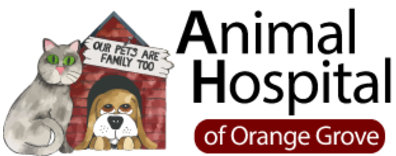 Animal Hospital of Orange Grove Logo Animal Hospital of Orange Grove Logo