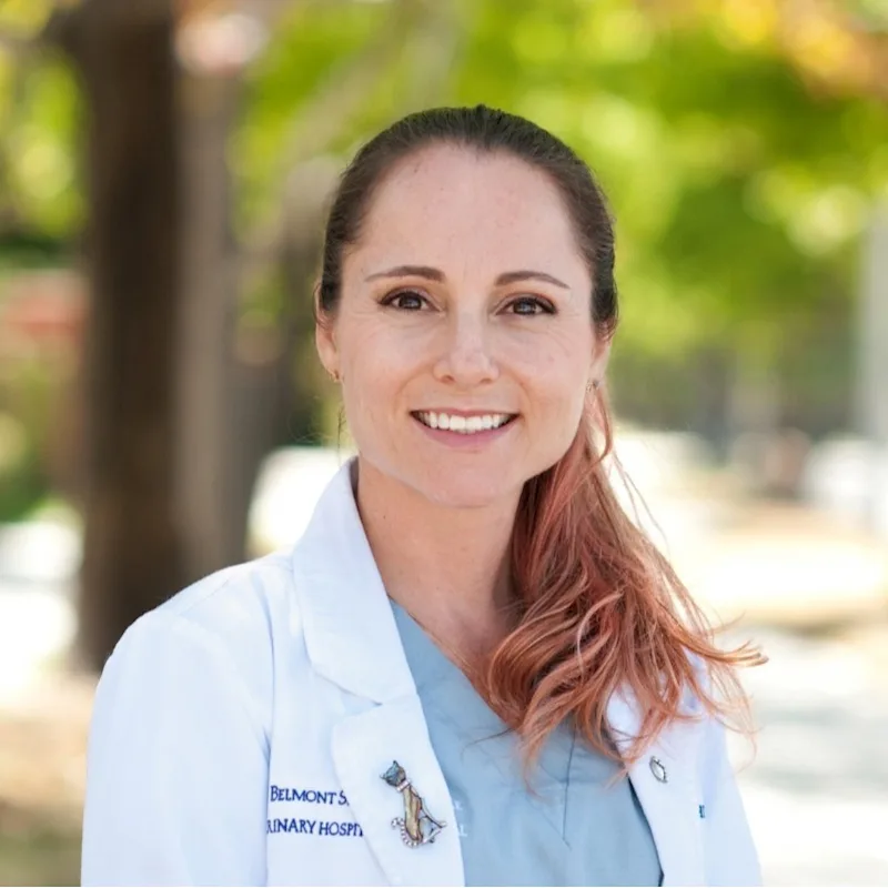 Dr. Elyse Frank Dr. Elyse Frank