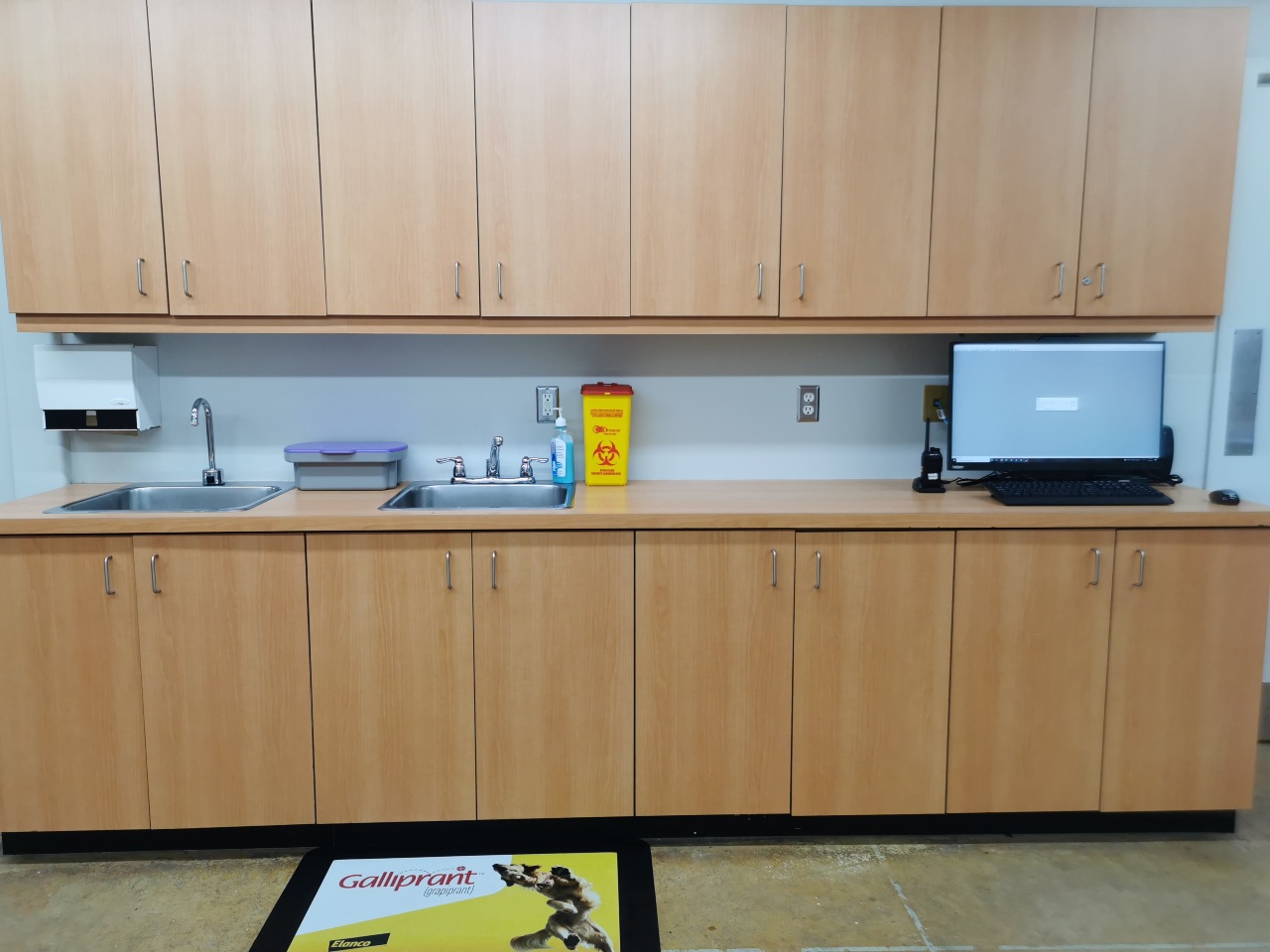 Upstairs Surgery Workstation at Abbotsford Animal Hospital