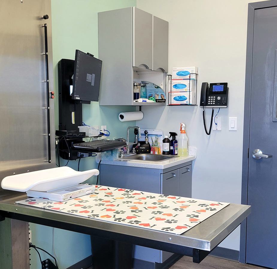 South Shore Animal Hospital Exam Room