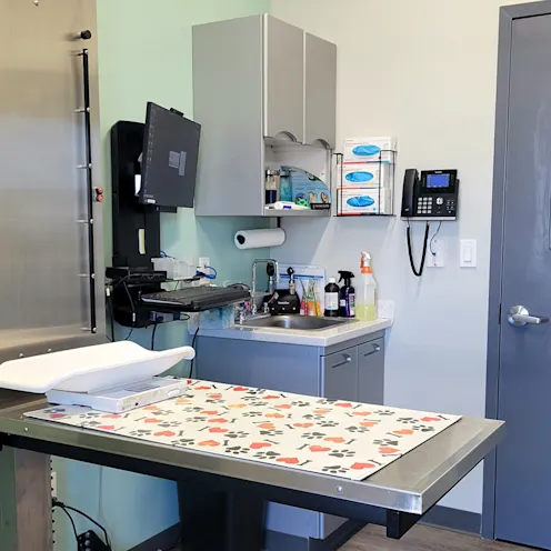 South Shore Animal Hospital Exam Room South Shore Animal Hospital Exam Room