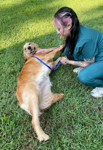 Alex and Tinkerbell playing in the grass Alex and Tinkerbell playing in the grass