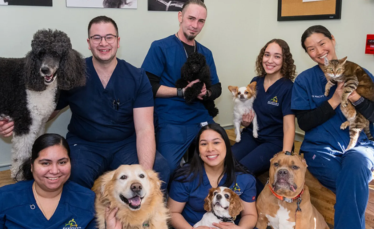 Team Photo at Battery Park Veterinary Hospital