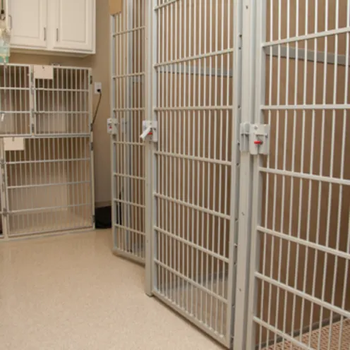 Hawthorne Park Animal Care Center Dog Medical Room