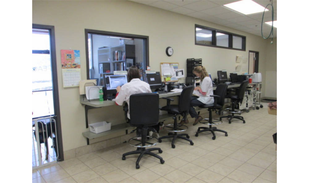 Eagle Animal Clinic Office