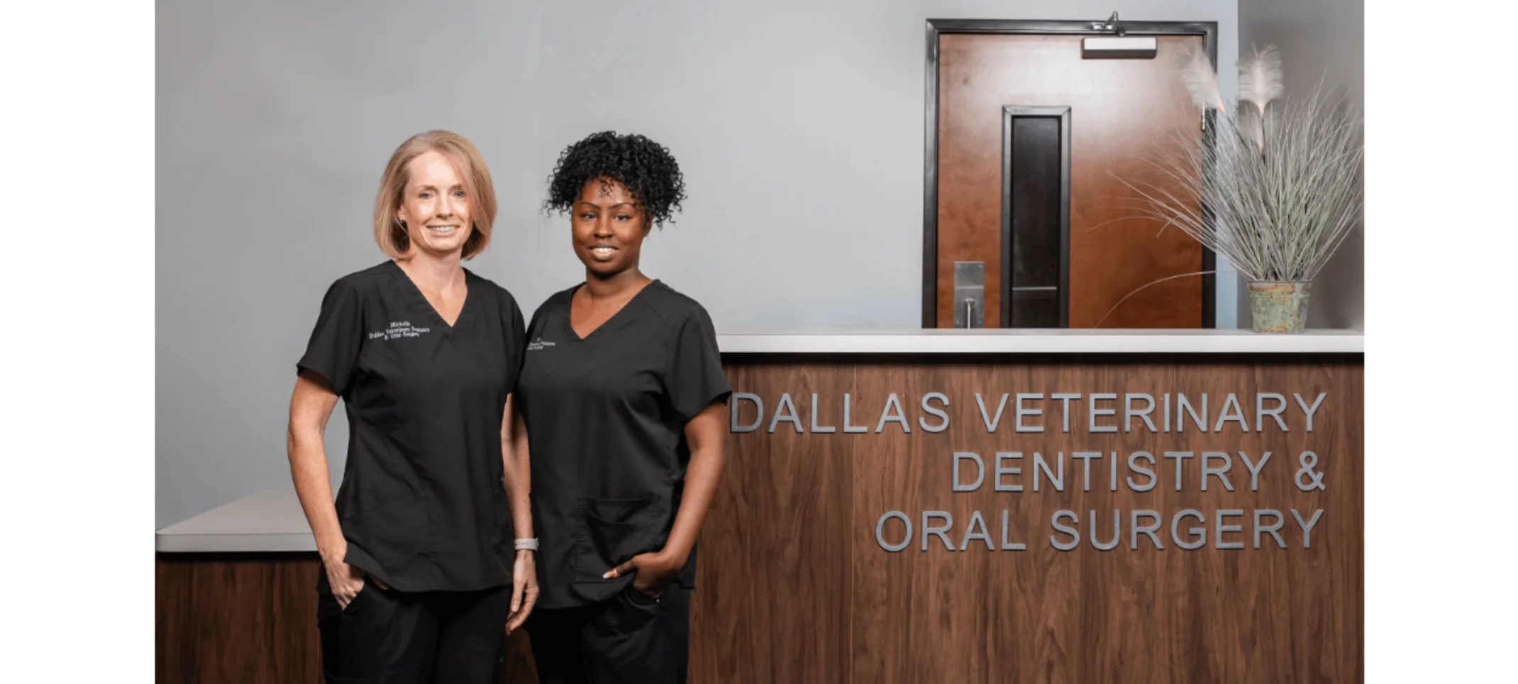 Dallas Veterinary Dentistry & Oral Surgery Support Team Dallas Veterinary Dentistry & Oral Surgery Support Team