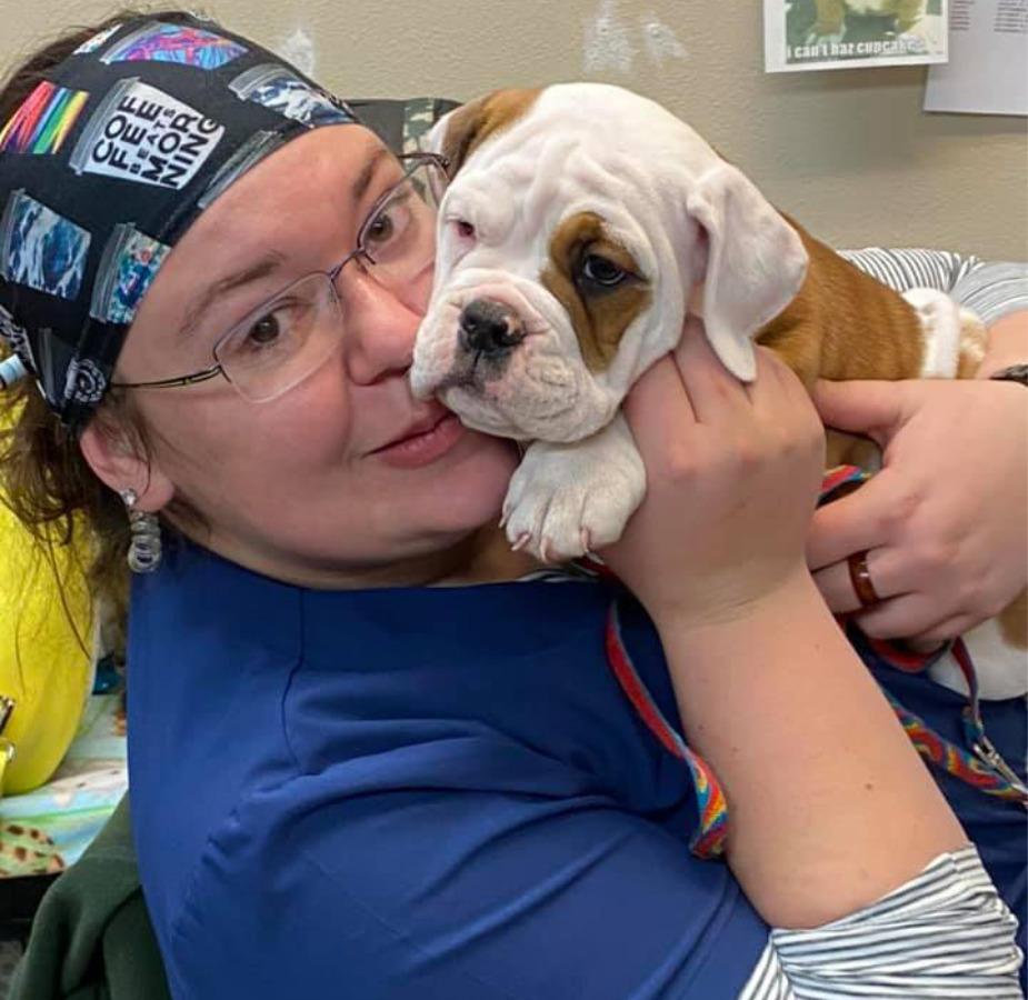 Staff member holding a tan and white bulldog puppy