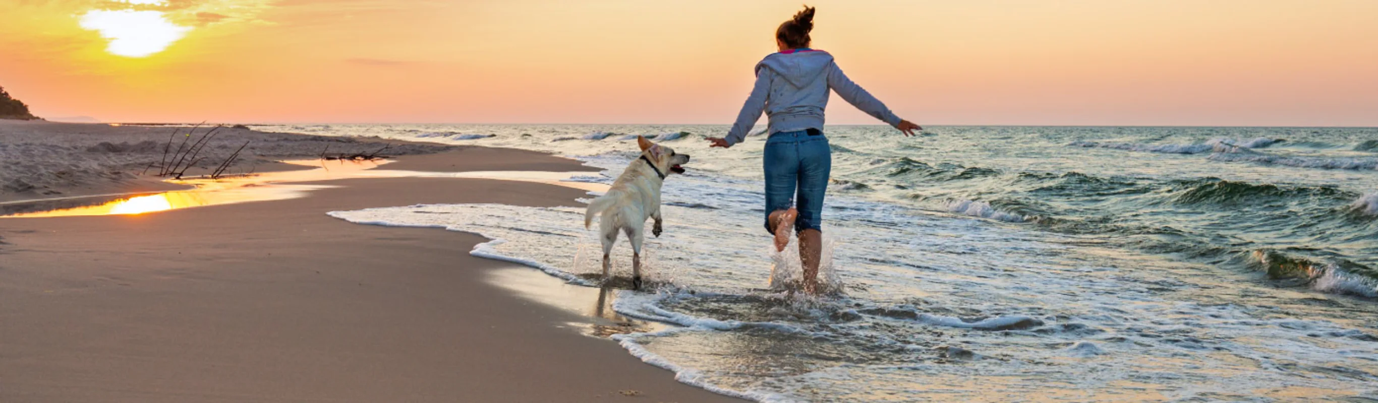 Dog running along waterline at beach with owner during sunset