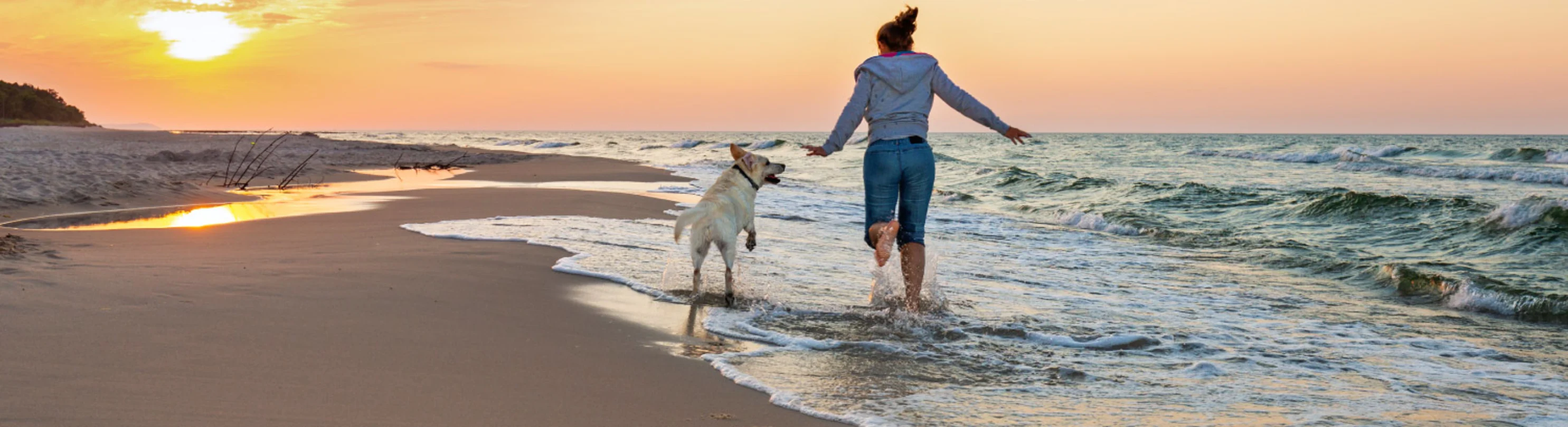 Dog running along waterline at beach with owner during sunset