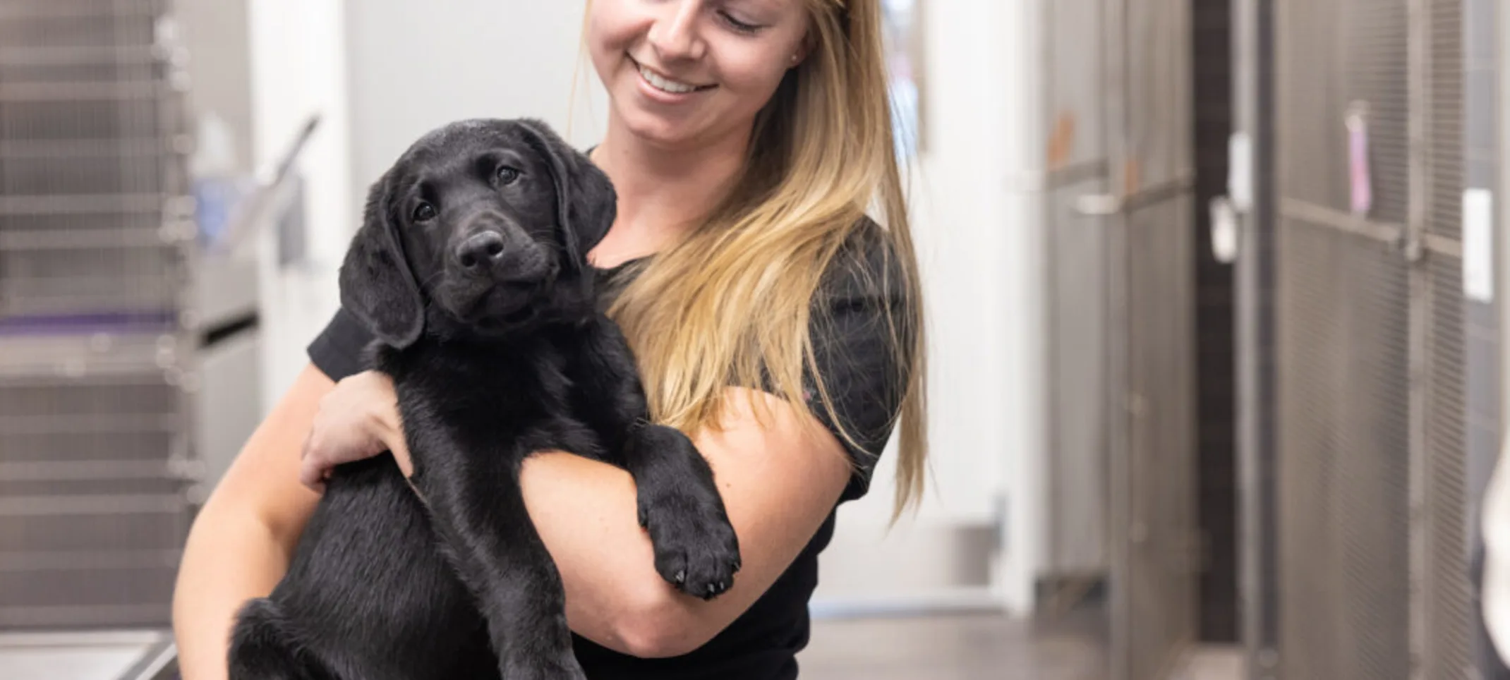 A staff member holding a puppy A staff member holding a puppy