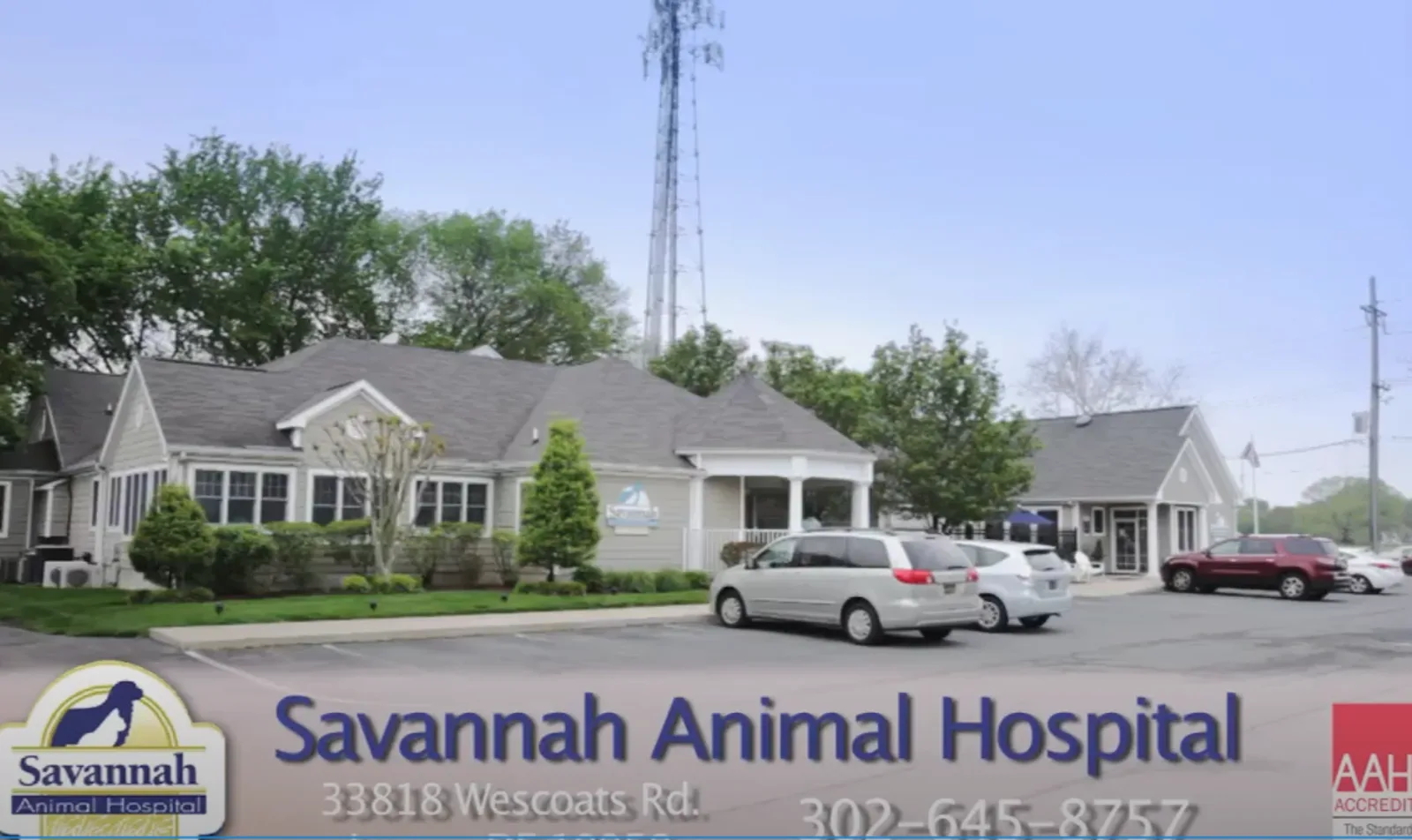 Savannah Animal Hospital Video