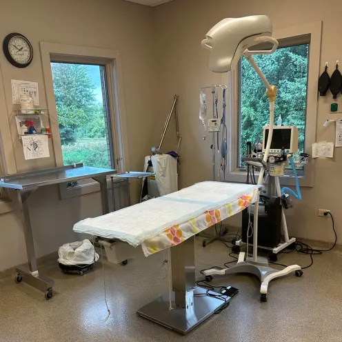 Surgical Suite at Winding Creek Animal Hospital