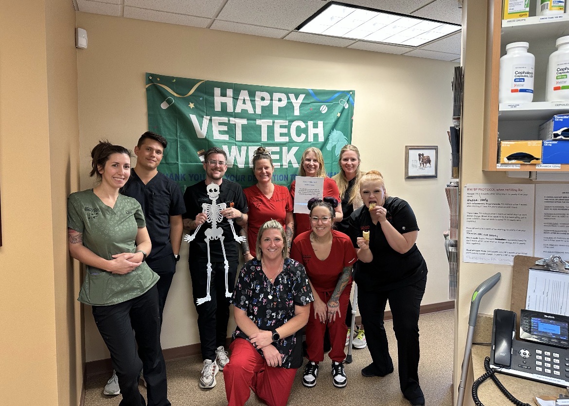 Team Appreciation day celebration