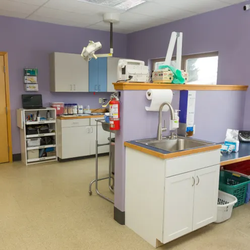 Purple medical exam room for pets