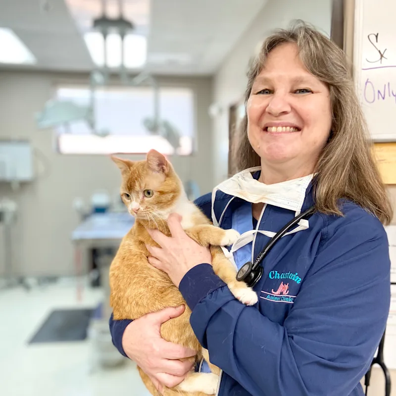 Elizabeth (Beth) Visco's staff photo from Chastain Animal Clinic Elizabeth (Beth) Visco's staff photo from Chastain Animal Clinic